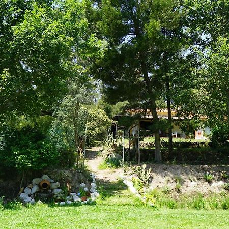 Вилла Quinta Do Vale Grande Албергария-а-Велья Экстерьер фото