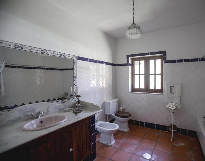 Вилла Quinta Do Vale Grande Албергария-а-Велья Экстерьер фото