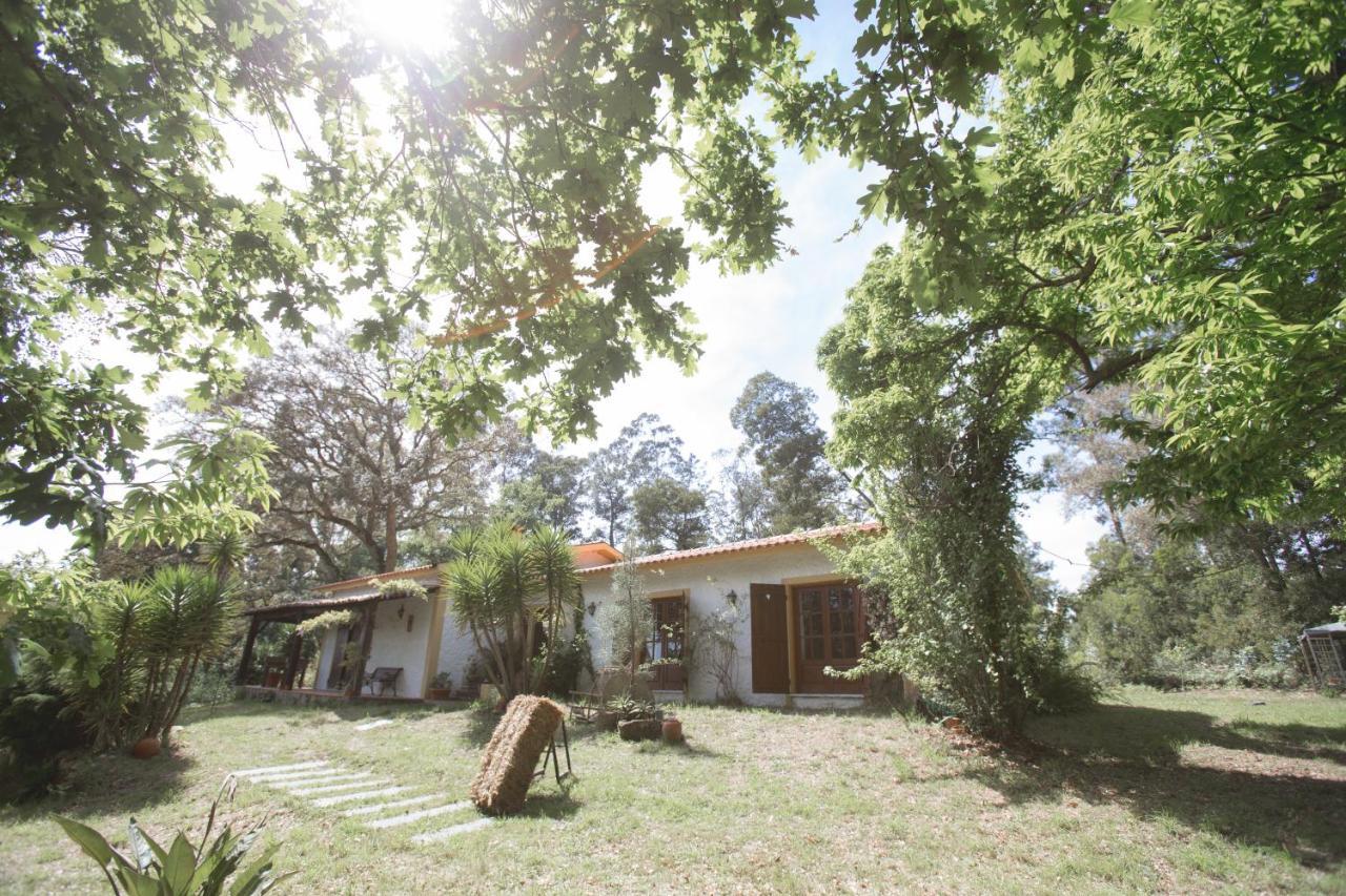 Вилла Quinta Do Vale Grande Албергария-а-Велья Экстерьер фото