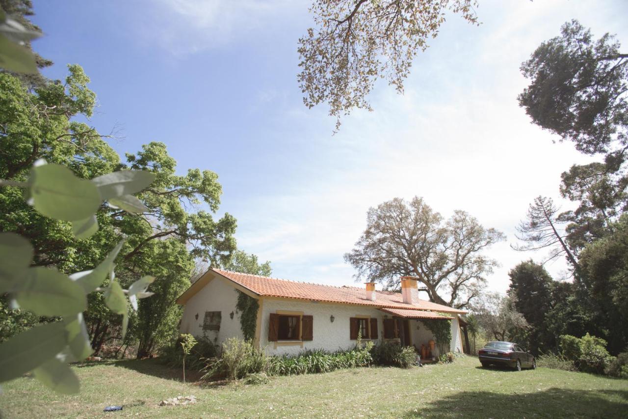 Вилла Quinta Do Vale Grande Албергария-а-Велья Экстерьер фото