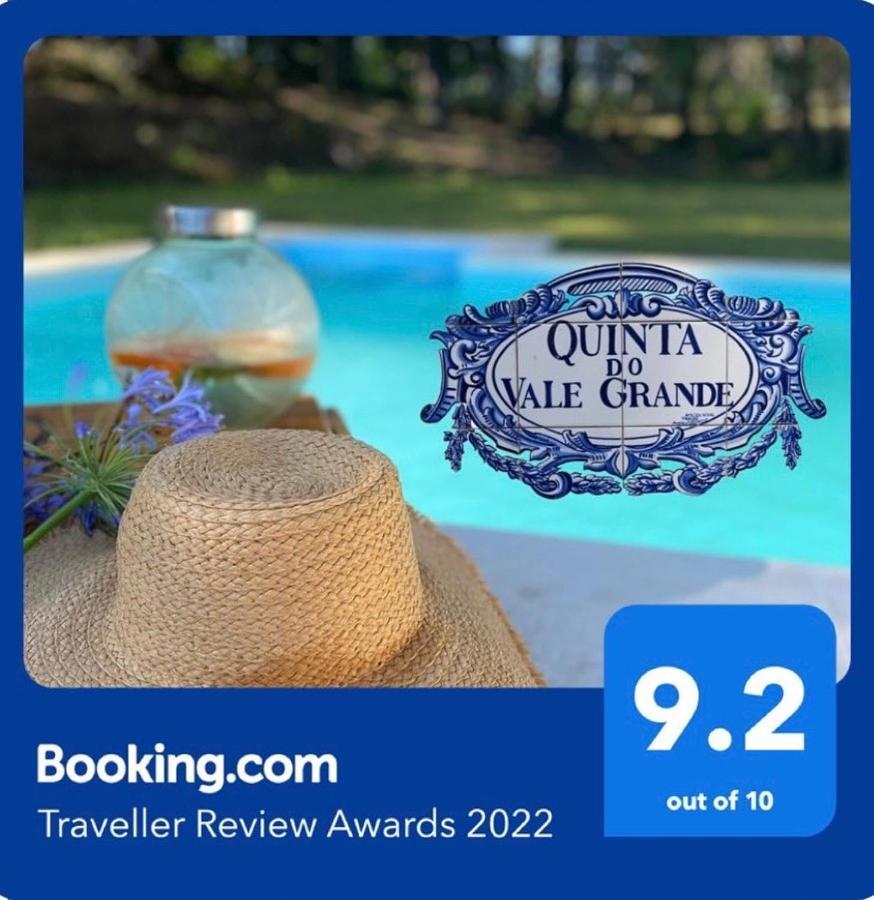 Вилла Quinta Do Vale Grande Албергария-а-Велья Экстерьер фото