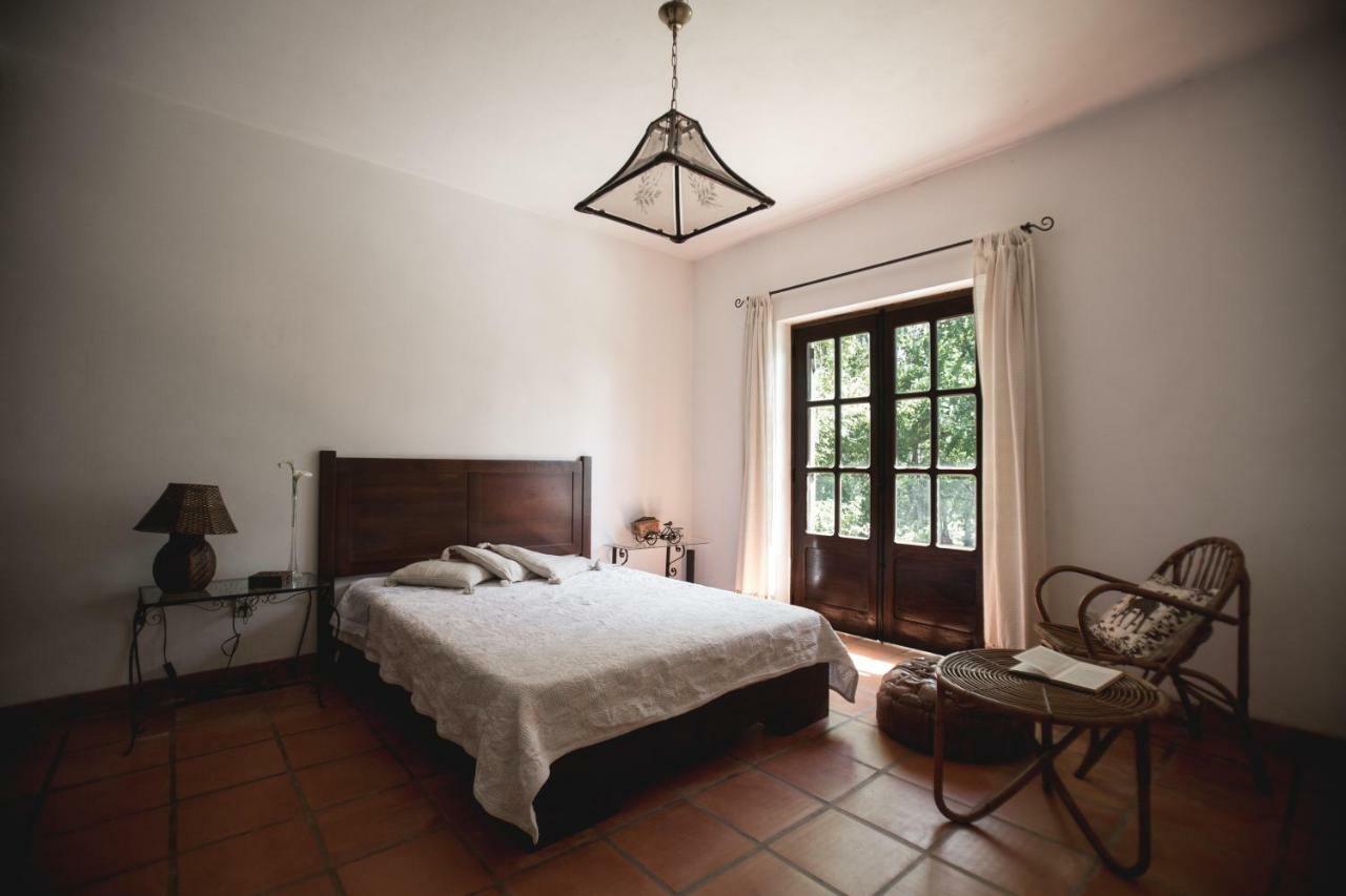 Вилла Quinta Do Vale Grande Албергария-а-Велья Экстерьер фото